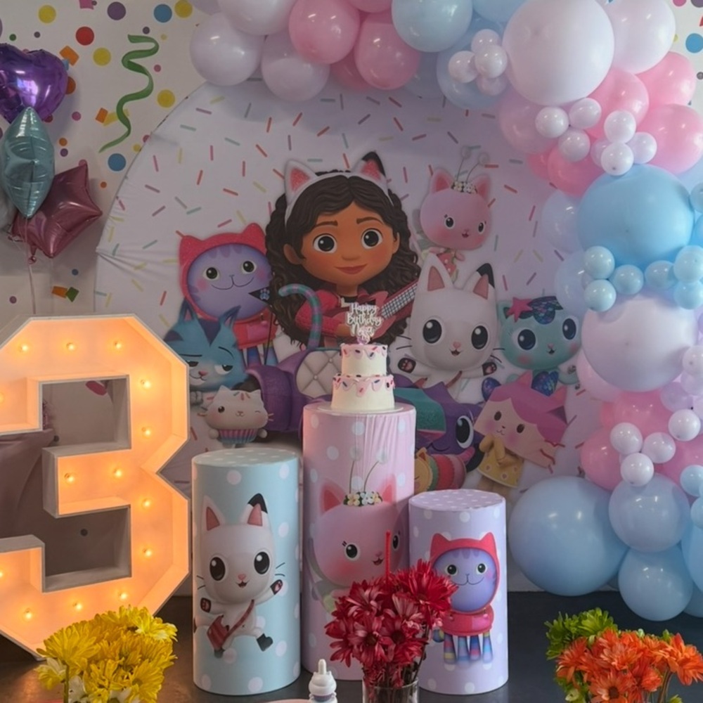 GABBY’s Dollhouse Party Backdrop & Pillar Covers!